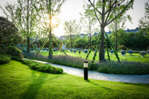 About Drainage and Erosion Control in Landscaping