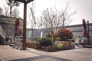 Why Landscape Design Matters: The Key to a Beautiful & Functional Yard