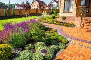The Benefits of Professional Landscape Design vs. DIY Landscaping