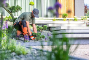 How Landscape Design Can Improve Curb Appeal & Property Value