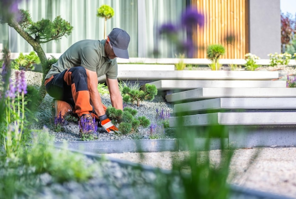 How Landscape Design Can Improve Curb Appeal & Property Value